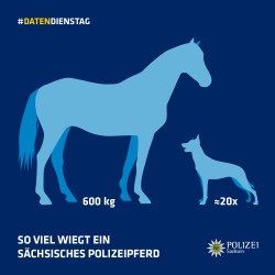 Bildtext: „So viel wiegt ein Polizeipferd“. Die Grafik zeigt ein Pferd mit der Angabe „600 Kilogramm“. Daneben steht ein Hund mit der Angabe „entspricht etwa 20 Mal“ (dem Gewicht des Pferdes).