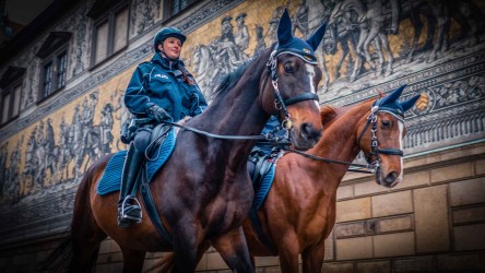 Zwei Reiterinnen der Polizeireiterstaffel Sachsen reiten auf ihren braunen Pferden durch den Fürstenzug in Dresden.